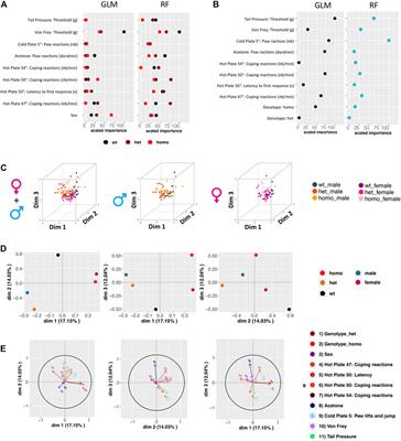 The Human SCN10AG1662S Point Mutation Established in Mice Impacts on Mechanical, Heat, and Cool Sensitivity